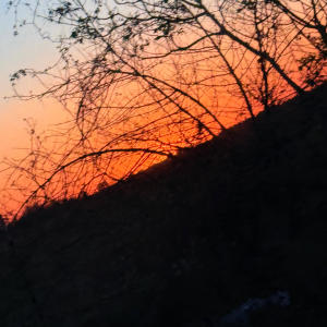 收聽JayTizzle的Run it Up! (Explicit)歌詞歌曲