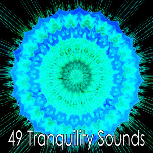 Dengarkan Wise Music. lagu dari Meditation Spa dengan lirik