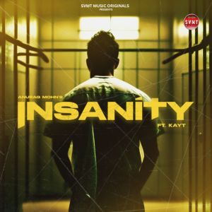 Listen to Insanity song with lyrics from Anurag Mohn