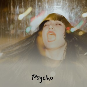 ดาวน์โหลดและฟังเพลง Psycho พร้อมเนื้อเพลงจาก Andre Williams & The Sadies