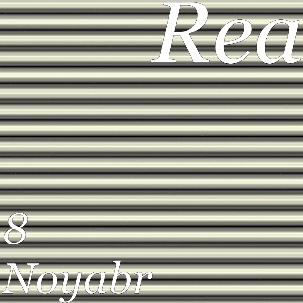 8 Noyabr