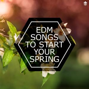 Listen to Getting There (feat. Sasha Ogletree) (Carlos Solo Remix) song with lyrics from Mysteryos