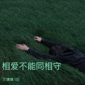 Listen to 相爱不能同相守 (伴奏) song with lyrics from 䒕孃孃