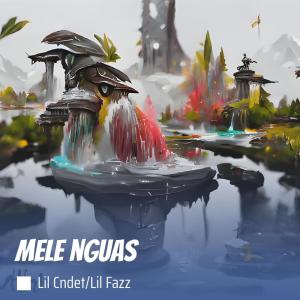 收听lil cndet的Mele Nguas歌词歌曲