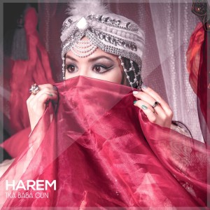 Listen to Xhuli song with lyrics from Harem