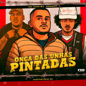 收聽Matheuzin DJ的Onça Das Unhas Pintadas (Explicit)歌詞歌曲