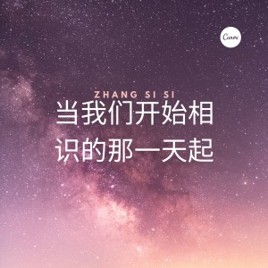 Listen to 当我们开始相识的那一天起(在我身边) song with lyrics from 张思思