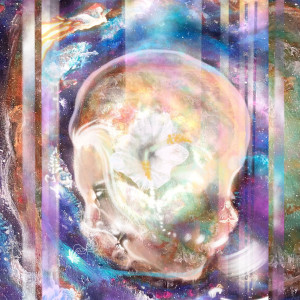 ดาวน์โหลดและฟังเพลง Paradise Skies พร้อมเนื้อเพลงจาก The Lotus Journey