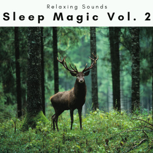 1 Sleep Magic Vol. 2