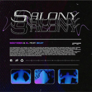 收聽Wavyzien的Salony (Explicit)歌詞歌曲