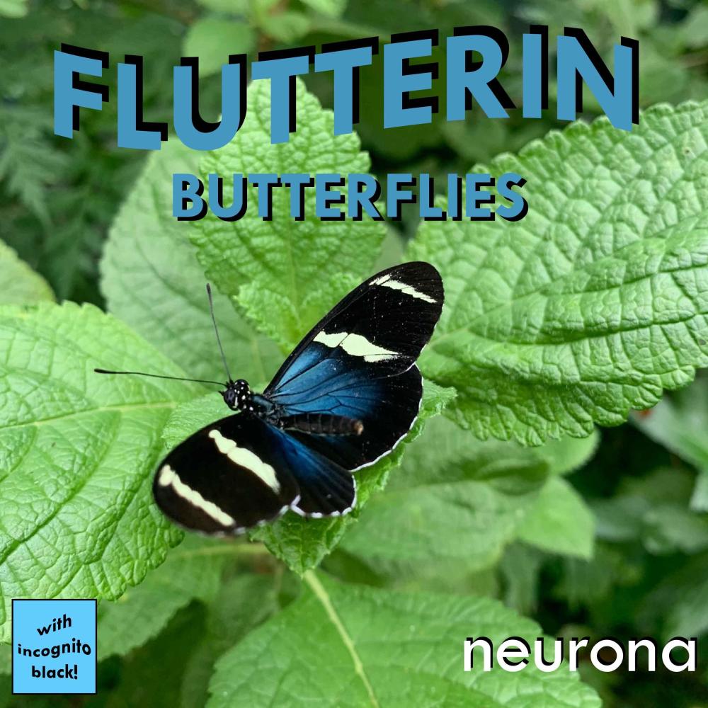 Flutterin Butterflies (feat. Incognito Black) (Explicit)