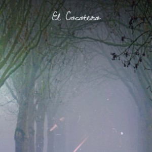 Album El Cocotero from Various Artist