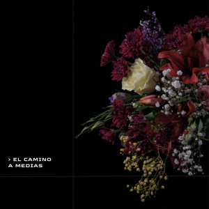 ดาวน์โหลดและฟังเพลง Rain พร้อมเนื้อเพลงจาก Ebensai