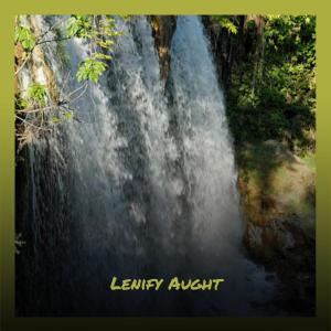 Album Lenify Aught from Various