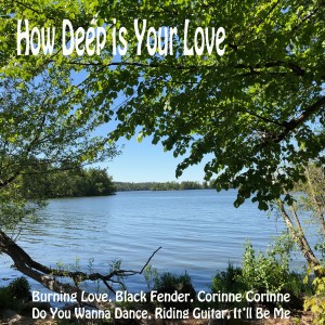 อัลบัม How Deep is Your Love ศิลปิน Various Artists