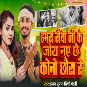 Listen to Hamra Saiya Jee Ke Jora Nai Chhai Kono Chhoura Re song with lyrics from Shyam Suman