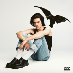 ดาวน์โหลดและฟังเพลง Fight or Flight พร้อมเนื้อเพลงจาก Conan Gray