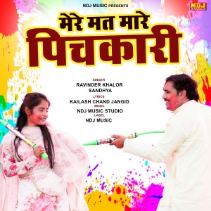 收聽Ravinder Khalor的Mere Mat Mare Pichkari歌詞歌曲