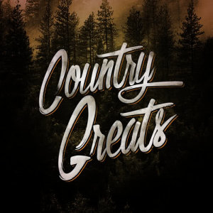 ดาวน์โหลดและฟังเพลง Chicken Fried พร้อมเนื้อเพลงจาก Country Music