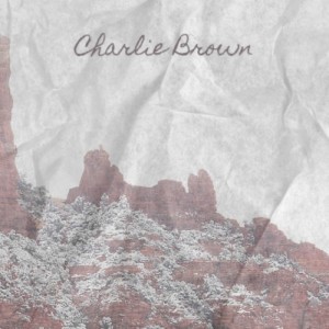 收聽The Coasters的Charlie Brown歌詞歌曲