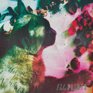 ดาวน์โหลดและฟังเพลง Time Thief (John Peel Sessions) พร้อมเนื้อเพลงจาก Pale Saints