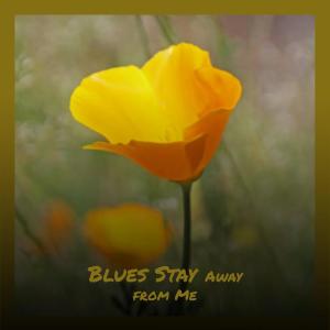 Listen to Maggie Walker Blues song with lyrics from The Clarence Ashley Group