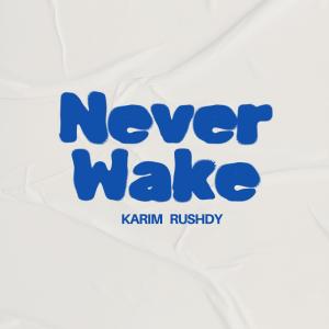 收聽Karim Rushdy的Never Wake歌詞歌曲