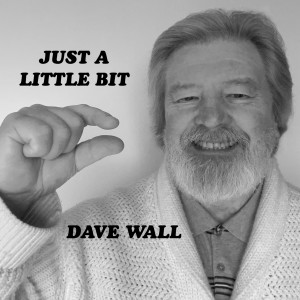 Album Just a Little Bit oleh Dave Wall