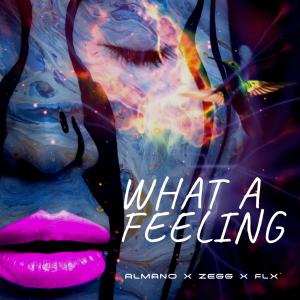 FLX的专辑What A Feeling