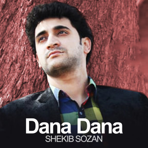 Dengarkan lagu DANA DANA nyanyian Shekib Sozan dengan lirik