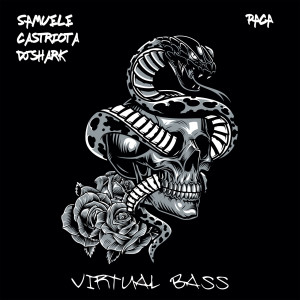 收聽Paca的Virtual Bass歌詞歌曲