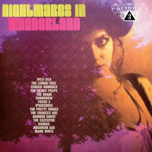 Various Artists的專輯Rubble VOL. 3: Nightmares in Wonderland