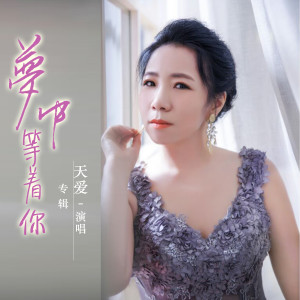 收听天爱的梦中等着你歌词歌曲