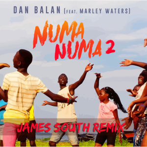 ดาวน์โหลดและฟังเพลง Numa Numa 2 (feat. Marley Waters) James South Remix พร้อมเนื้อเพลงจาก Dan Balan