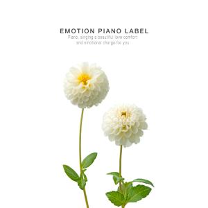 Album A calm emotional piano that comforts me from Various Artists