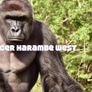 Album Harambe West Macintosh Minus Visa Jazz from 