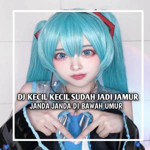 Album DJ KECIL KECIL SUDAH JADI JAMUR JANDA DI BAWAH UMUR from DJ ASIK