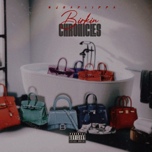 Album Birkin Chronicles (Explicit) from Sjdaflippa