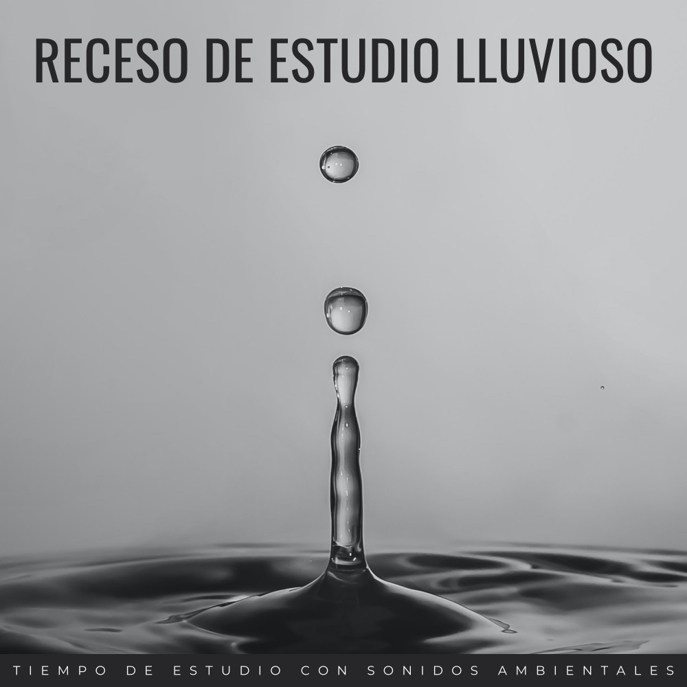 Concentración Y Estudio Bajo La Lluvia