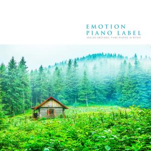 Listen to Last Love Nature Version (Nature Ver.) song with lyrics from Love Paper
