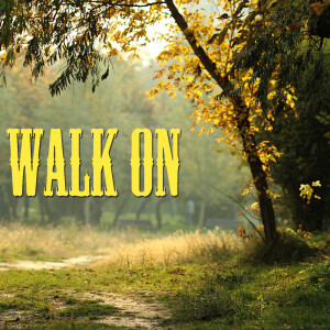 收听Wildlife的Tennessee Waltz歌词歌曲