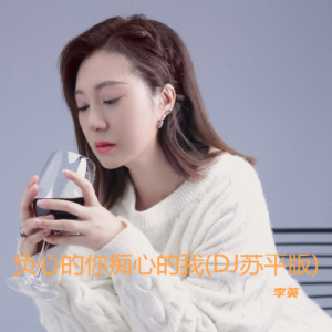 Album 负心的你痴心的我(DJ苏平版) from 李英