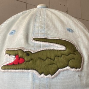 Dengarkan Big Croc lagu dari MC GW dengan lirik