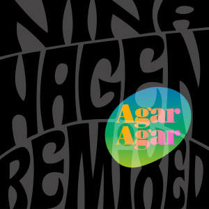 ดาวน์โหลดและฟังเพลง Unity (Agar Agar Remix) พร้อมเนื้อเพลงจาก Nina Hagen