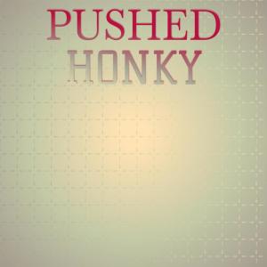 Various的专辑Pushed Honky