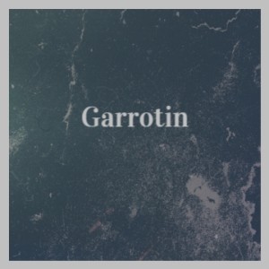 Dengarkan lagu Garrotin nyanyian Pepe Romero dengan lirik