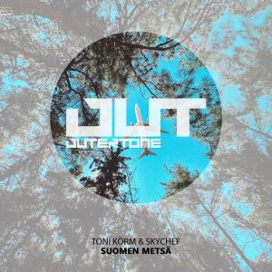 ดาวน์โหลดและฟังเพลง Suomen Metsä พร้อมเนื้อเพลงจาก Toni Körm