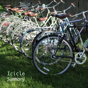Icicle的專輯Summary (Explicit)