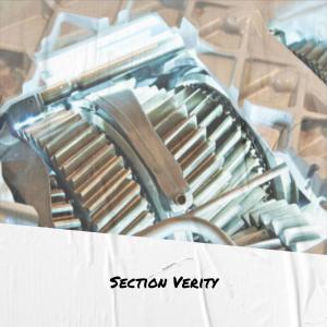 收听Sanne Biki的Section Verity歌词歌曲