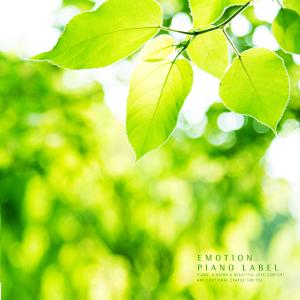 Listen to In The Fragrance Of A Cup Of Tea song with lyrics from Kelp